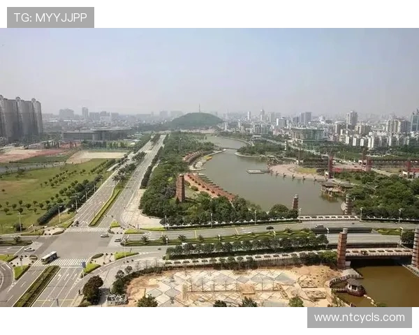 杭州乒乓球队的蜕变与崛起洲际杯背后的奋斗故事